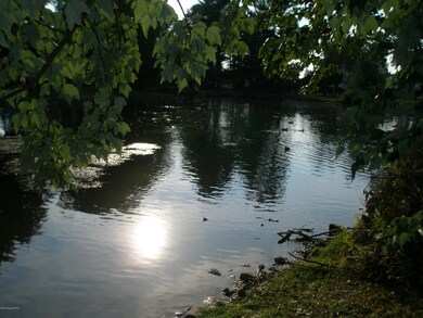 Back Yard/Lake View 2