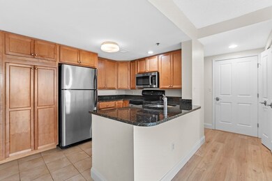 Regatta Riverview Residences unit 923, Cambridge, MA 02141 - photo 5