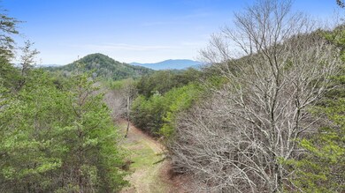 7.18 Ac McJunkin Rd, Turtletown, TN 37391 - photo 2