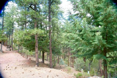 4557 N Serenity Cir unit 44, Pine, AZ 85544 - photo 4