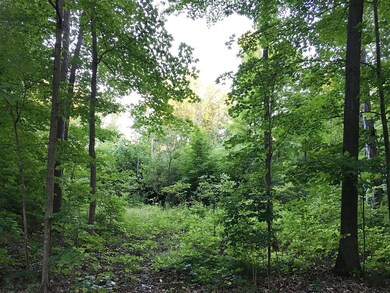 0 N Park Place W, Powell, OH 43065 - photo 4