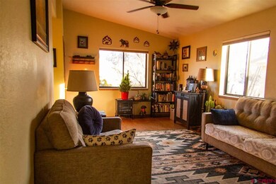 3227 E 7th Ave, Durango, CO 81301 - photo 3