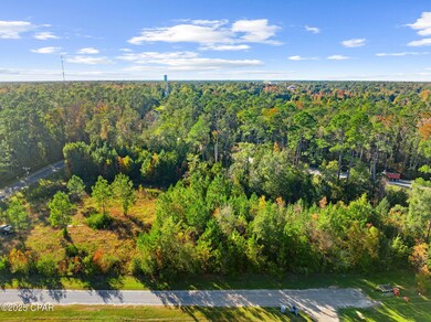 115 Pear St, Wewahitchka, FL 32465 - photo 6