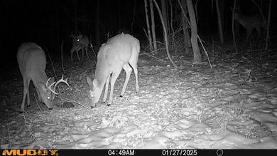 2025-06-17_21-16-22_013