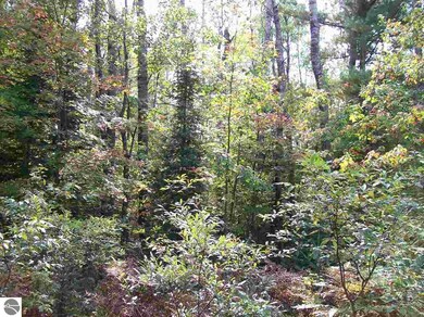 0 Lula Ln unit 52-55 1855604, Alger, MI 48756 - photo 3