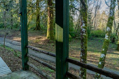 View from porch - left