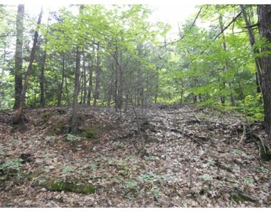 Parcel B Cutler Rd, Holden, MA 01520 - photo 4