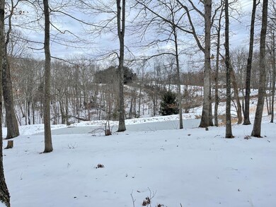5. Pond from Cabin View