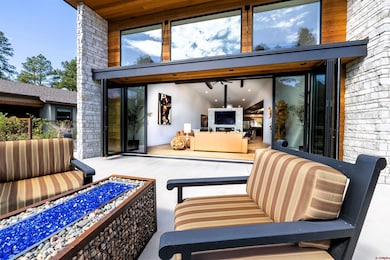 1023 Twin Buttes Ave, Durango, CO 81301 - photo 2