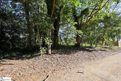 11 Trotter Aly, Greenville, SC 29605 - photo 4