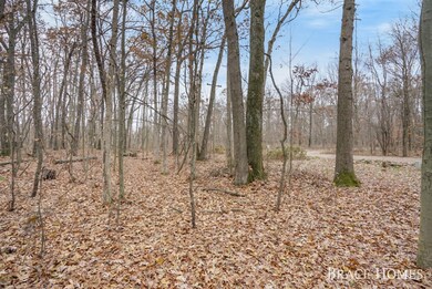 7436 Thornapple Dales Dr SE, Alto, MI 49302 - photo 2