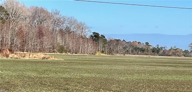 392 Princess Anne Rd, Virginia Beach, VA 23457 - photo 6