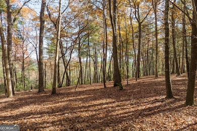 TR 2 Old Anderson Creek, Ellijay, GA 30536 - photo 7