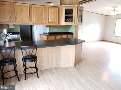 2 New Bridge Rd, Salem, NJ 08079 - photo 4