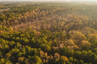 0 Sand Hill Rd unit 11389907, Brandon, MS 39047 - photo 6
