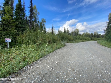 46808 S Merlin Dr, Willow, AK 99688 - photo 4