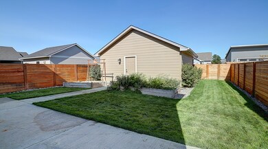 Back Yard 1