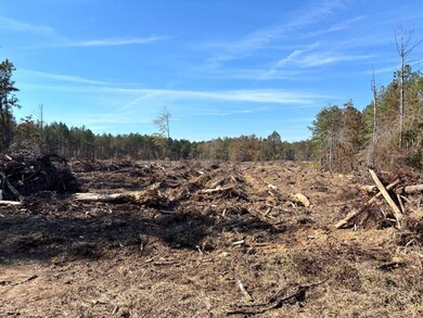 00 Griffin Rd, Shuqualak, MS 39361 - photo 7