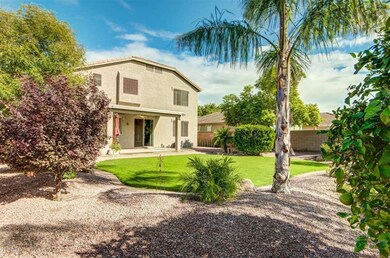 41 large landscaped backyard