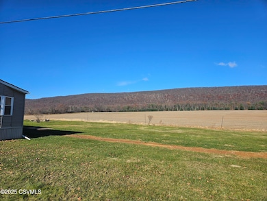 467 Mountain Rd, Berwick, PA 18603 - photo 3