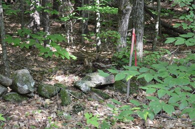 Lot 7 Bickford Rd unit 7, Wolfeboro, NH 03894 - photo 6