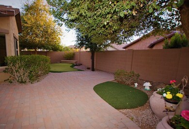 Back yard