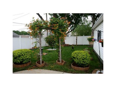Yard.