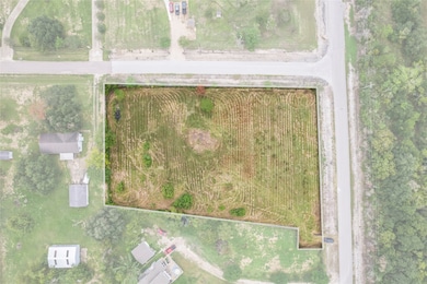 5595 Top Hat Rd, Algoa, TX 77511 - photo 7