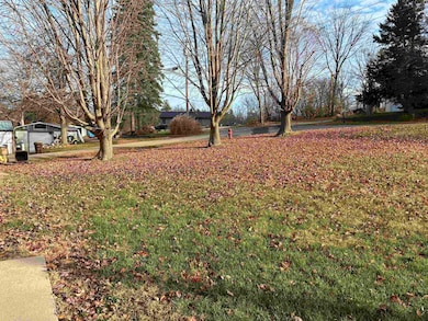 820 Dewhurst St, Mount Carroll, IL 61053 - photo 5