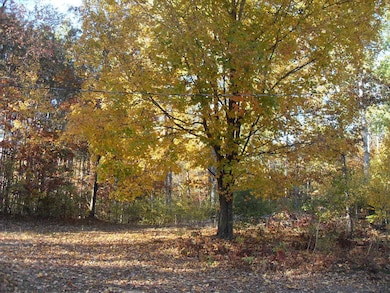 4107 E White River Dr, Hesperia, MI 49421 - photo 2