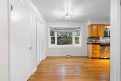 904 Chippewa Dr, Elgin, IL 60120 - photo 4