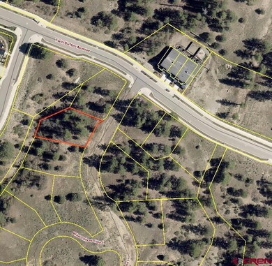 38 Wild Chives Court (Lot 102), Durango, CO 81301 - photo 2