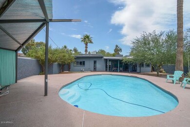 Pool-Backyard