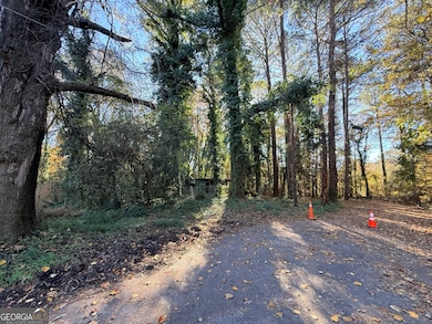 2320 Park Way SW, Atlanta, GA 30315 - photo 6