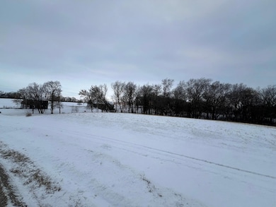 27055 River View Ct, Red Wing, MN 55066 - photo 2