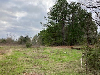TBD Farm To Market 225, Nacogdoches, TX 75964 - photo 3