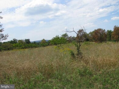 0 A Orchard Point unit 1004622112, Levels, WV 25431 - photo 3