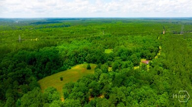 unlisted-address, Sandersville, GA 31087 - photo 4