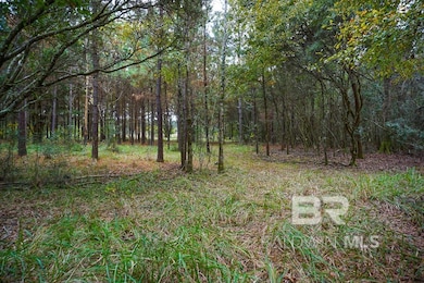 0 Smith Young Rd, Mobile, AL 36695 - photo 5