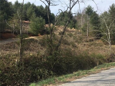 631 Roland Branch Rd, Burnsville, NC 28714 - photo 5