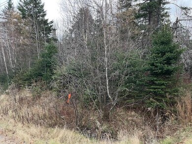 Lot 51 Route 1, Pleasant Point, ME 04667 - photo 2