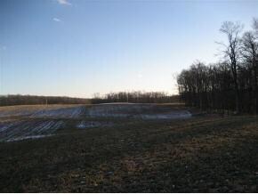 0 Haskamp Rd, Oldenburg, IN 47036 - photo 4