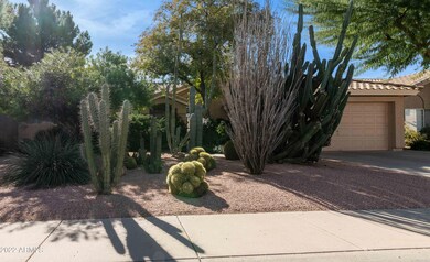 5901 W Park Ave, Chandler, AZ 85226 - photo 3