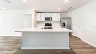 12023 Mountain Island Trail, Parrish, FL 34219 - photo 6