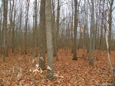 4221 Pinto Ln, Gastonia, NC 28052 - photo 4