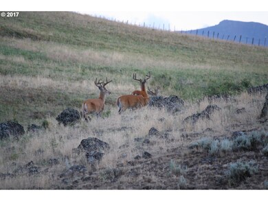 0 Rail Canyon Rd unit 17074578, Joseph, OR 97846 - photo 2
