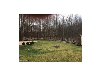 back yard view, can you imagine how beautiful the 