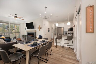 421 W Meadow Mile unit 4, Fraser, CO 80442 - photo 5