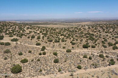 DJI_0956