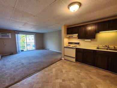 74 Constitution Dr unit 74, Londonderry, NH 03053 - photo 5